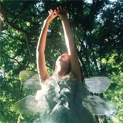 闪婚夫人竟是帮派大小姐